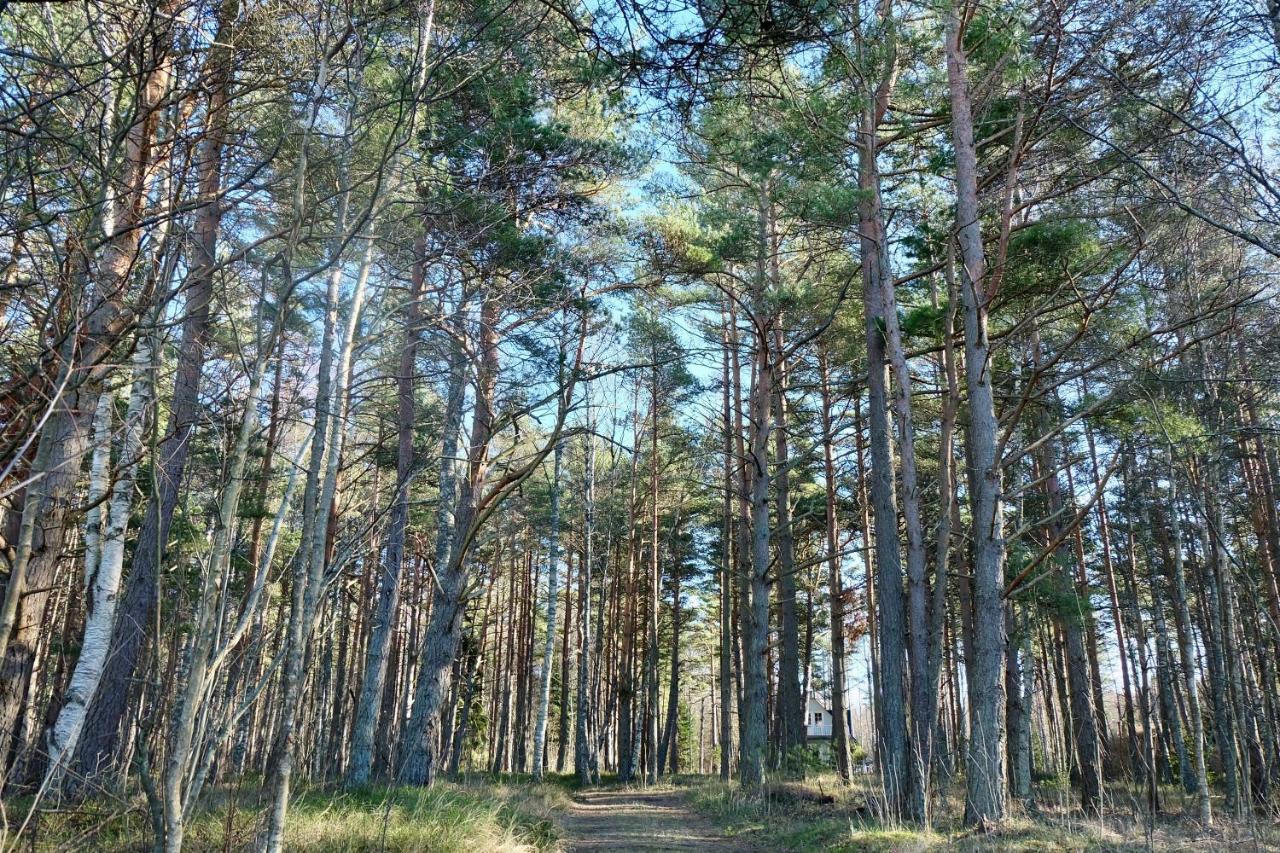 Tahkuna Puhkekeskus Hiiumaa ภายนอก รูปภาพ